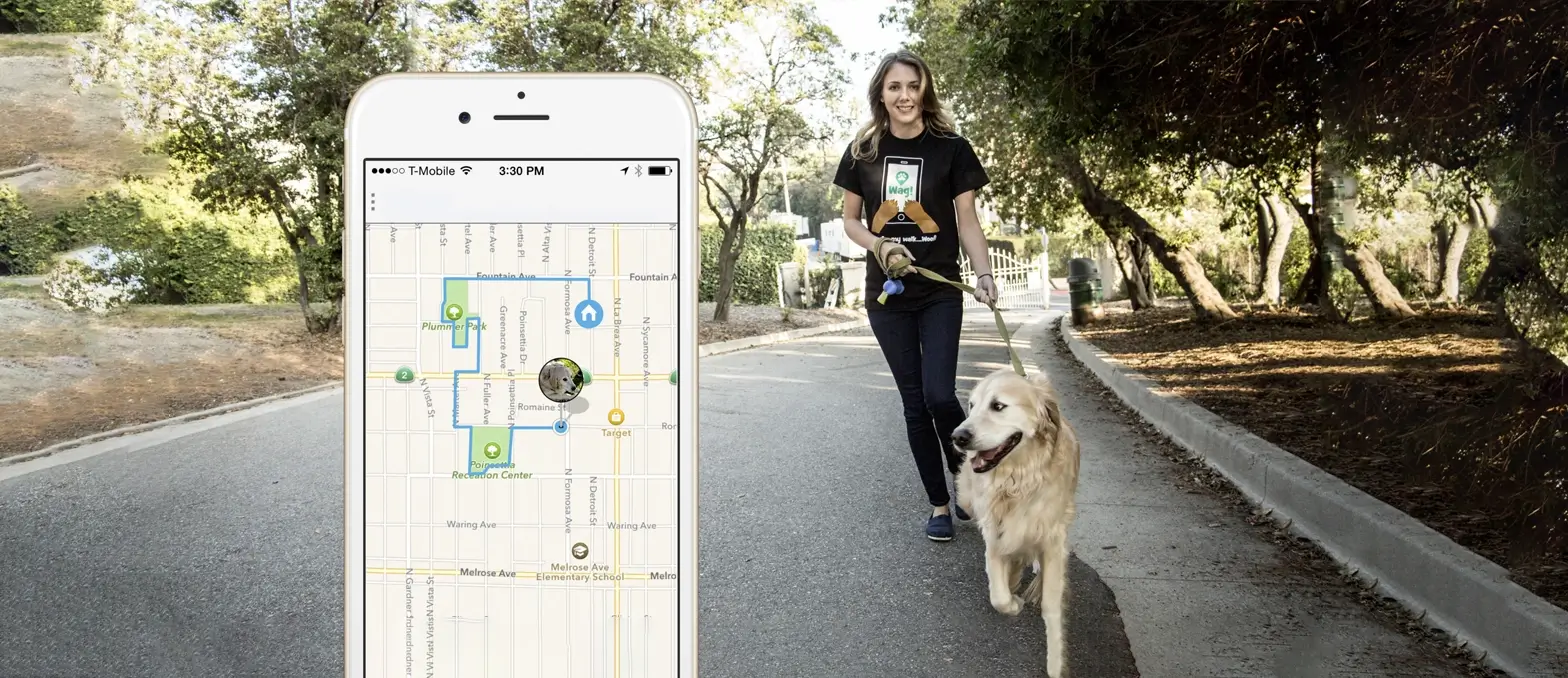 Navigating the Best Dog Walking Apps of 2025