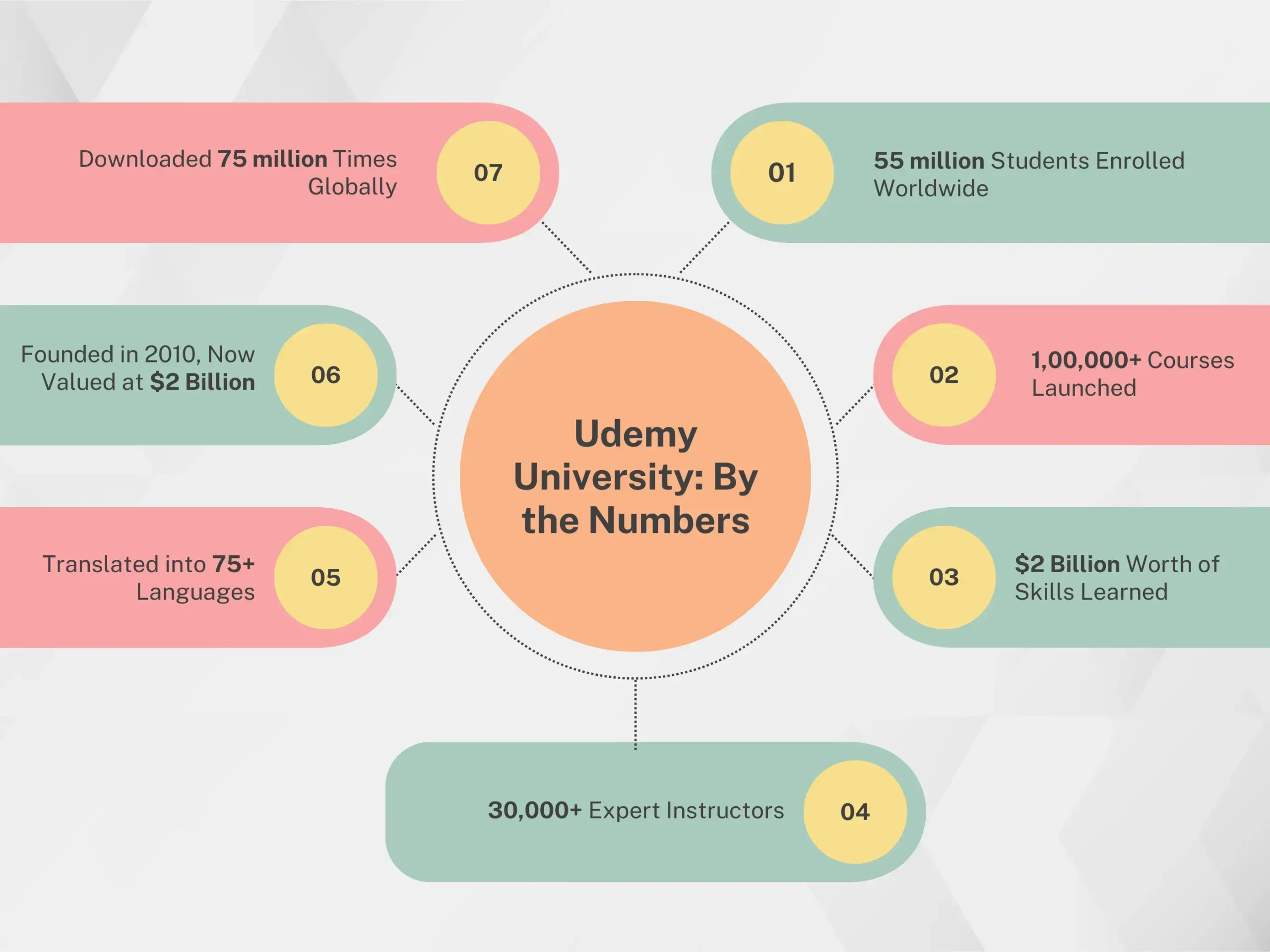 Udemy University: By the Numbers