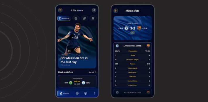 Season Long Fantasy Sports League
